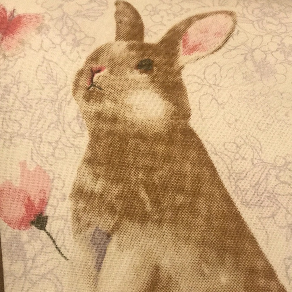 Rachel Ashwell Bunny & Flower Tea Towels 2Pc NWT